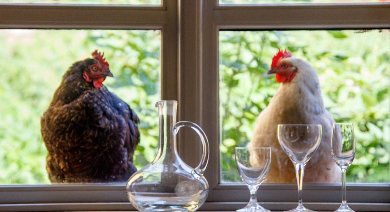 Отель Lindenhof Chezartistes Loose Экстерьер фото